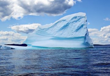 A beautiful Newfoundland Iceberg