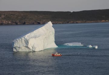 5 Amazing Newfoundland Boat Tours